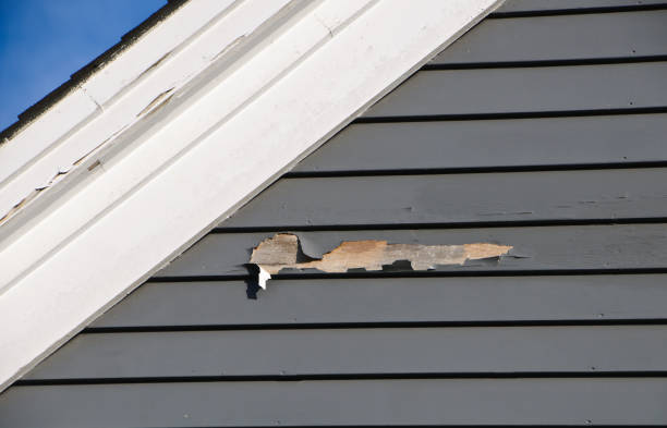 Affordable Siding Repair and Maintenance Services in Deer Park, IL