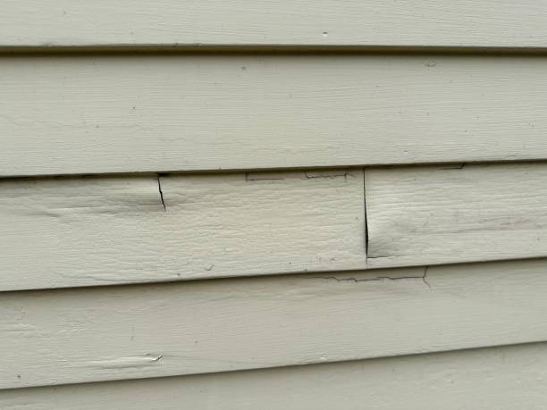 Storm Damage Siding Repair in Deer Park, IL